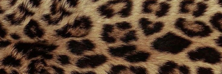 kait's banner