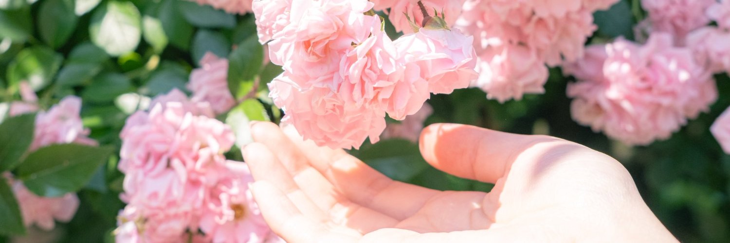 Serevanta 🌸's banner