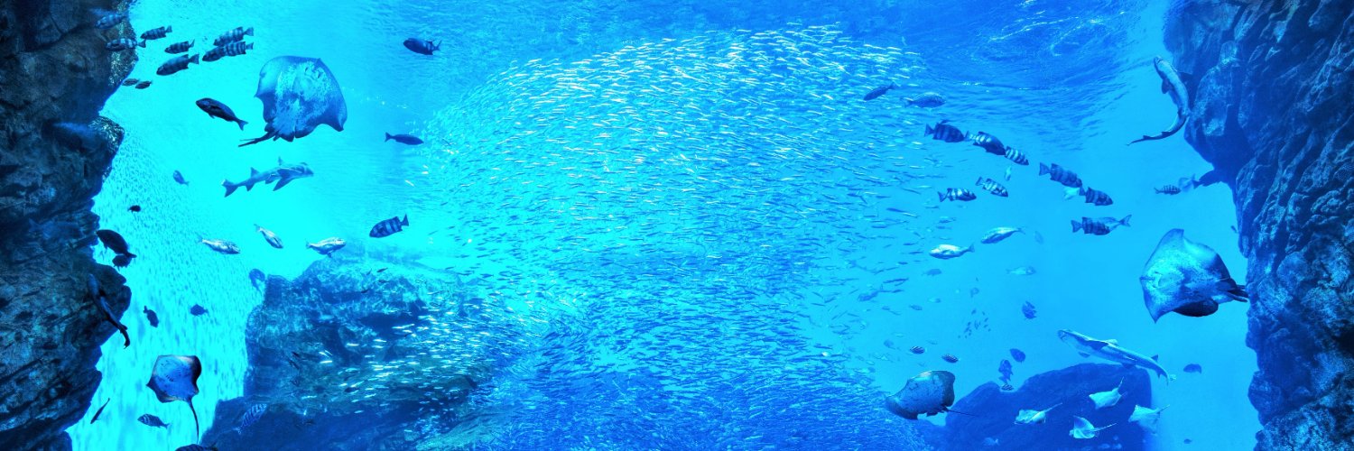仙台うみの杜水族館公式's banner