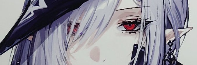 ニケさん's banner