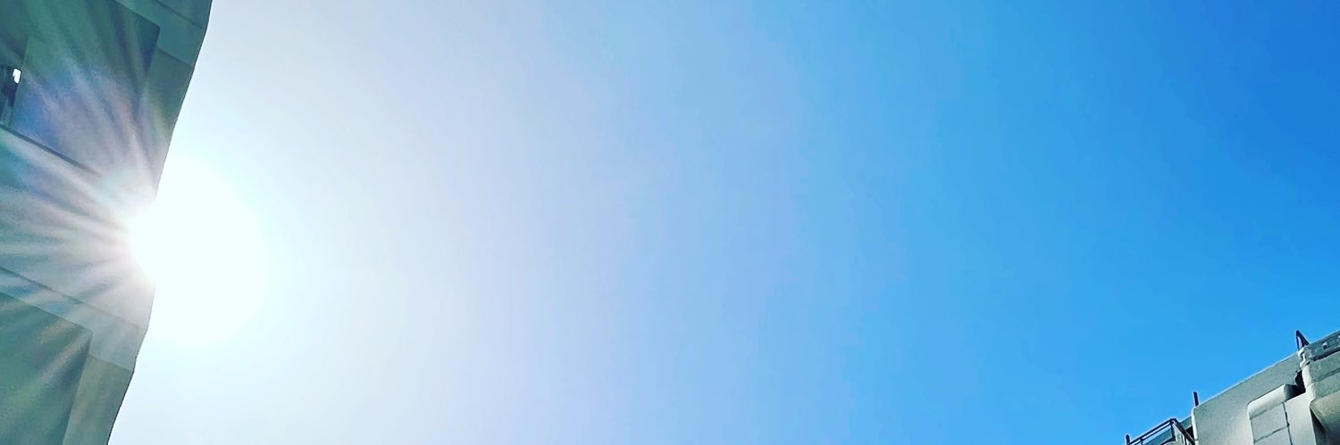 cho's banner