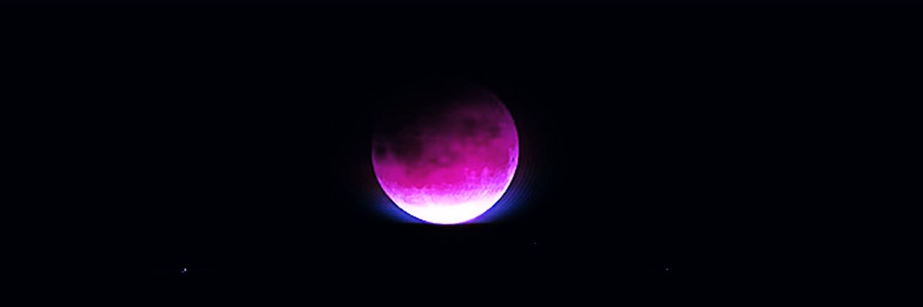 ☯️'s banner