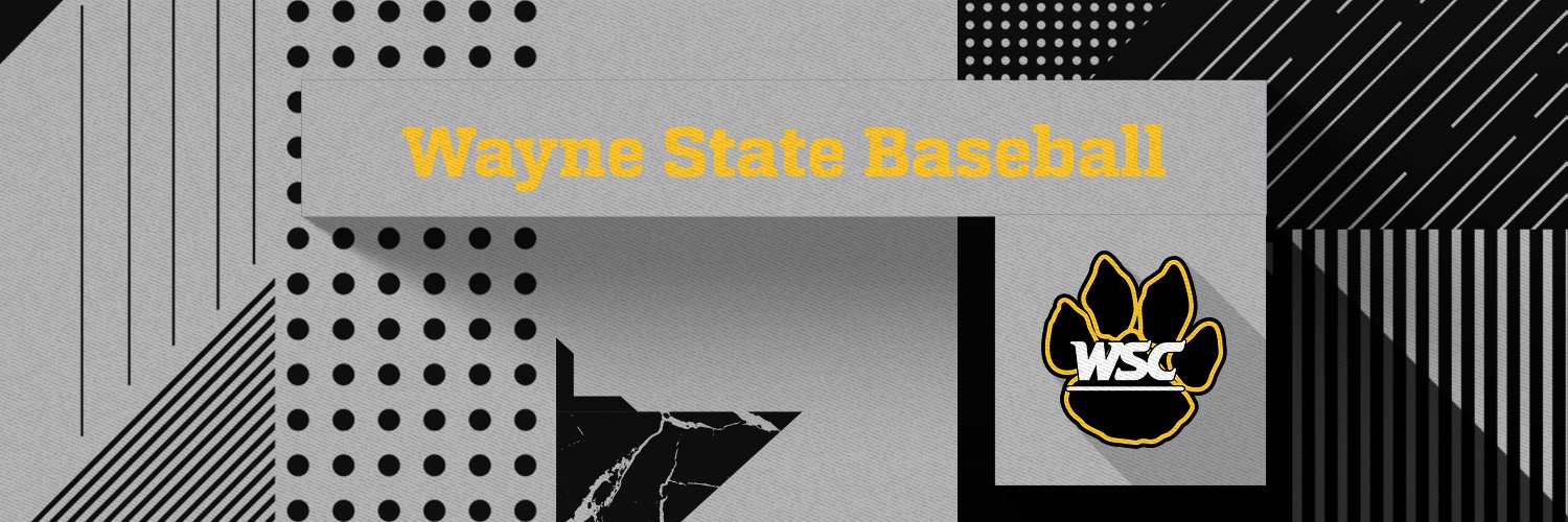 Wayne State Baseball's banner