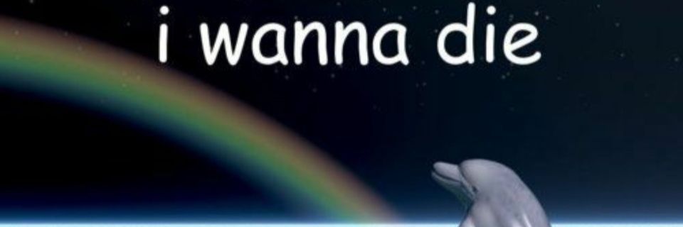 𝕊𝕖𝕝 🌸's banner