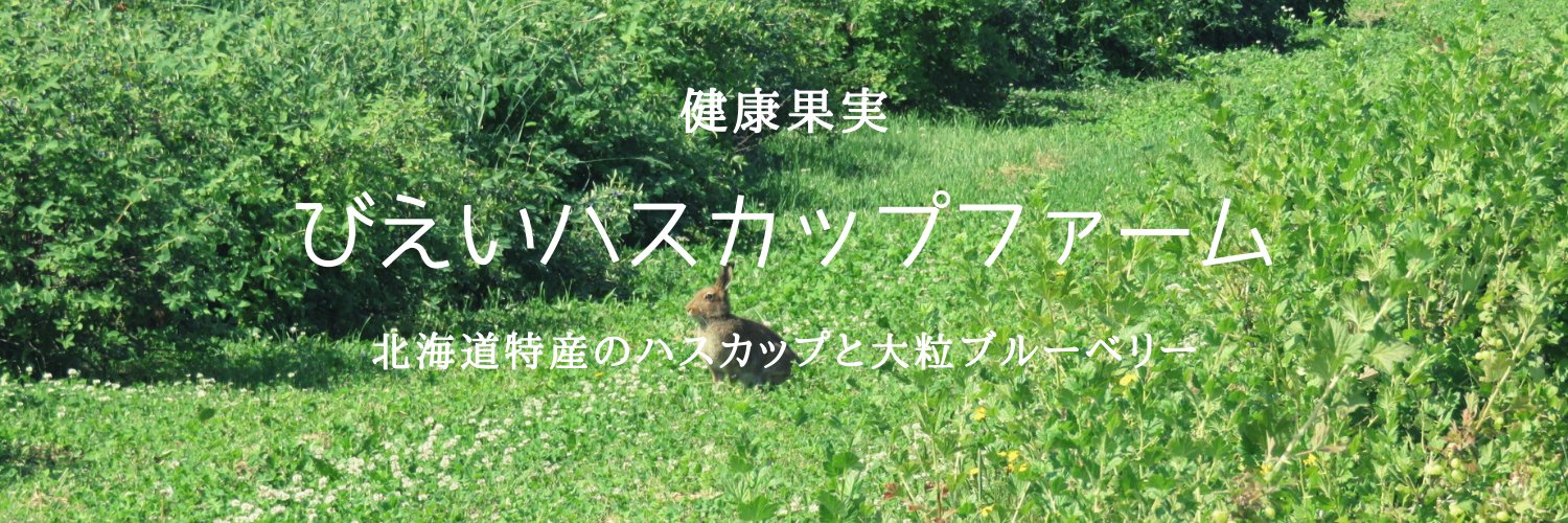 びえいハスカップファーム's banner
