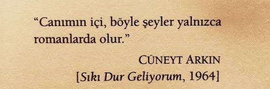 Merve's banner