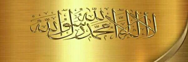 محمد الهلالي's banner