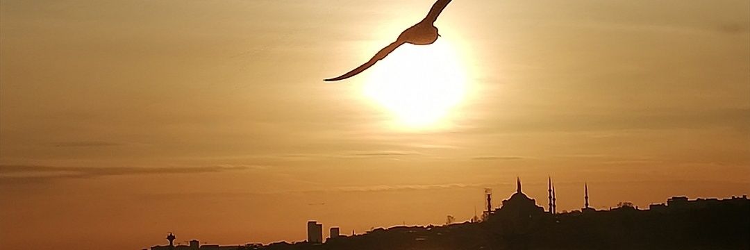 Deniz koydum adımı's banner