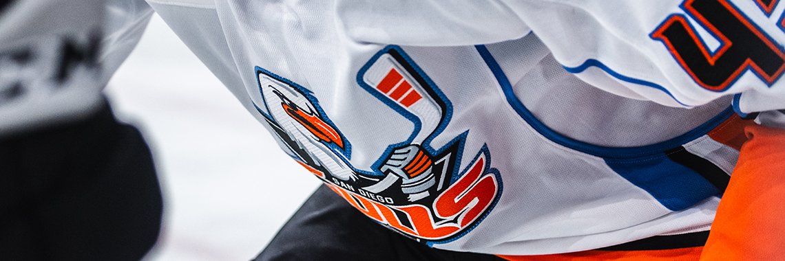 San Diego Gulls's banner