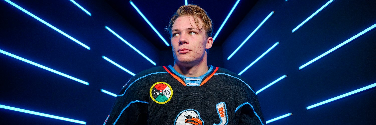 San Diego Gulls's banner
