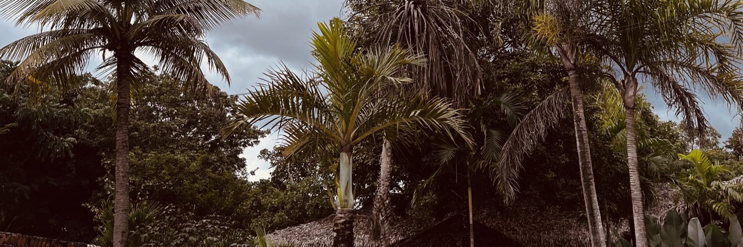 amanda's banner