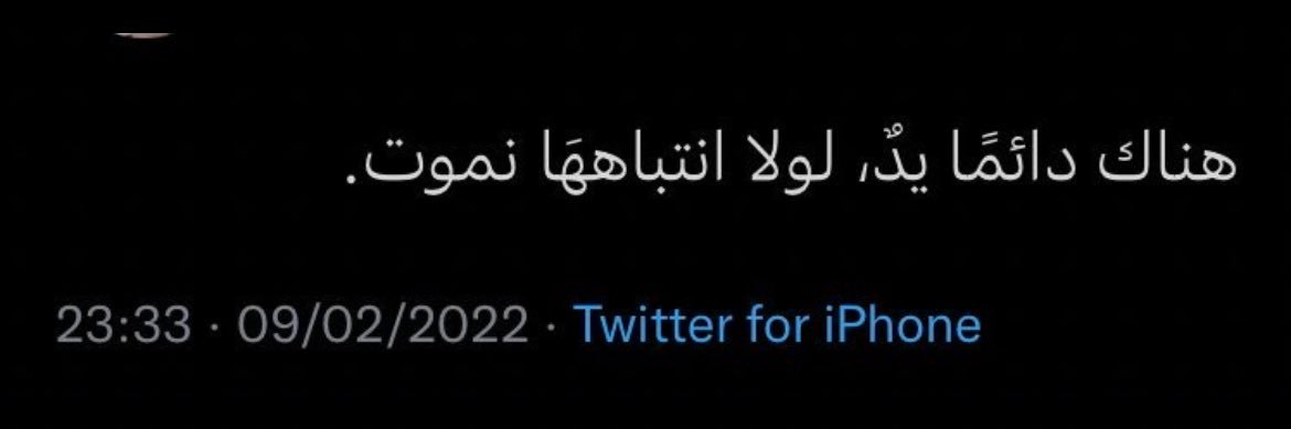Omar Hamad | عُـمَـرْ 𓂆's banner