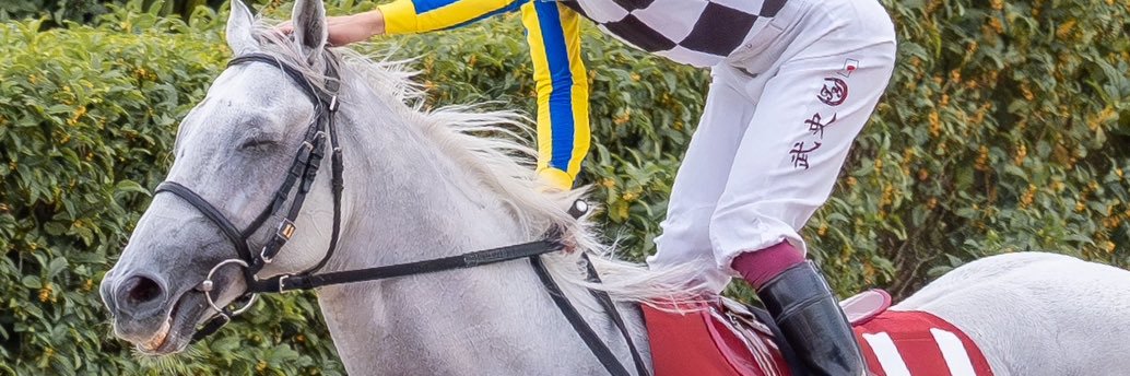 NONNA's banner