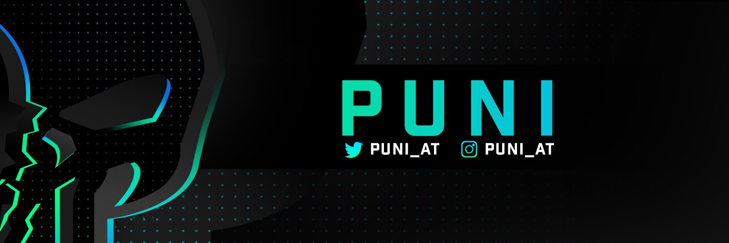 PuN1's banner