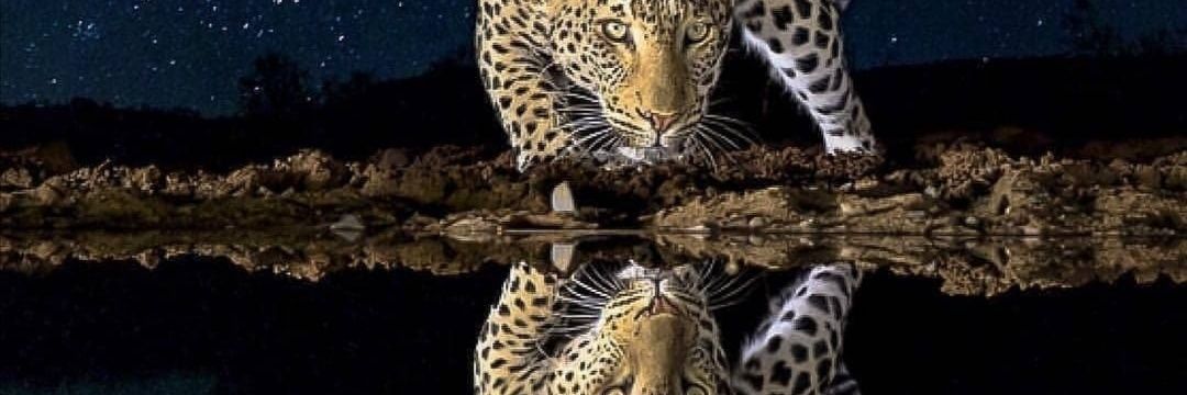 السهم الاتحادي 🏹's banner