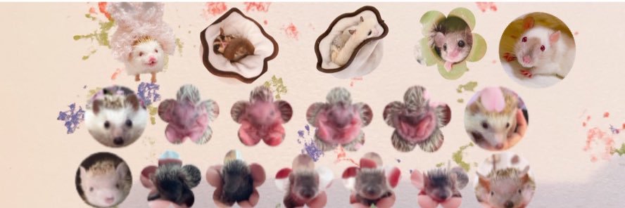 ひとみ's banner