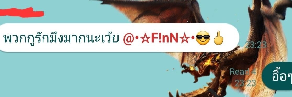 The F!nN's banner