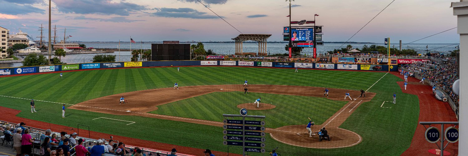 Pensacola Blue Wahoos's banner