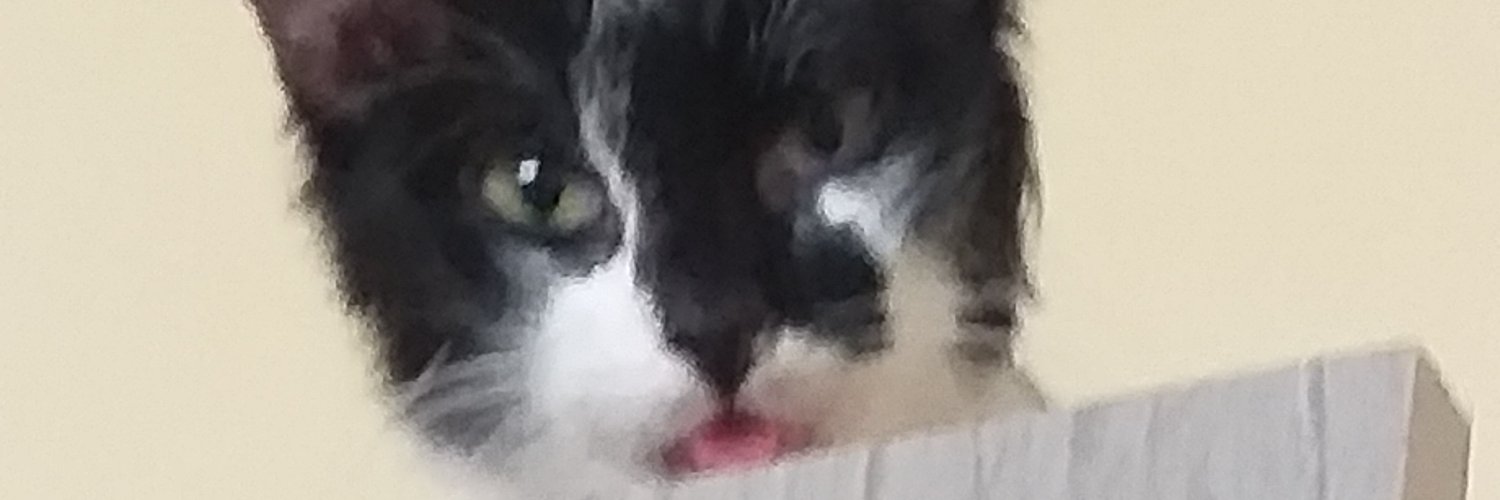 kodeline's banner