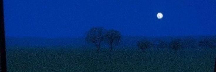 Cereeal.exe's banner