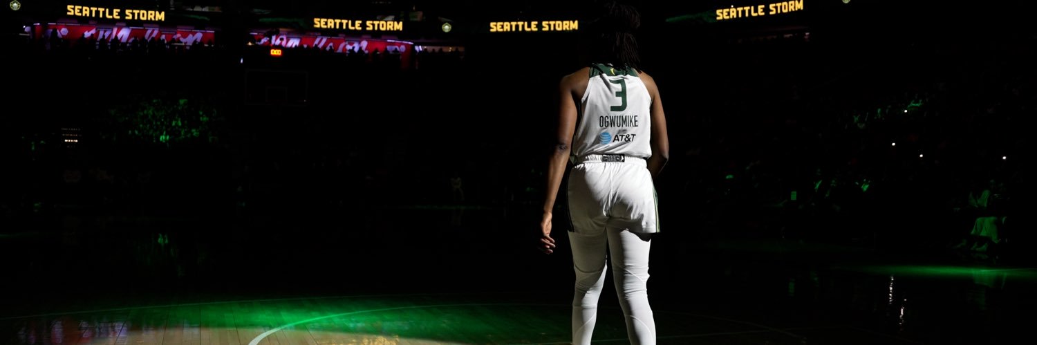 Nneka Ogwumike's banner