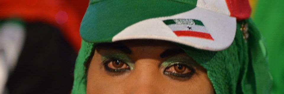 Somalilanders's banner