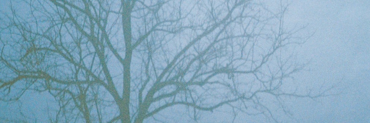 gizmo's banner