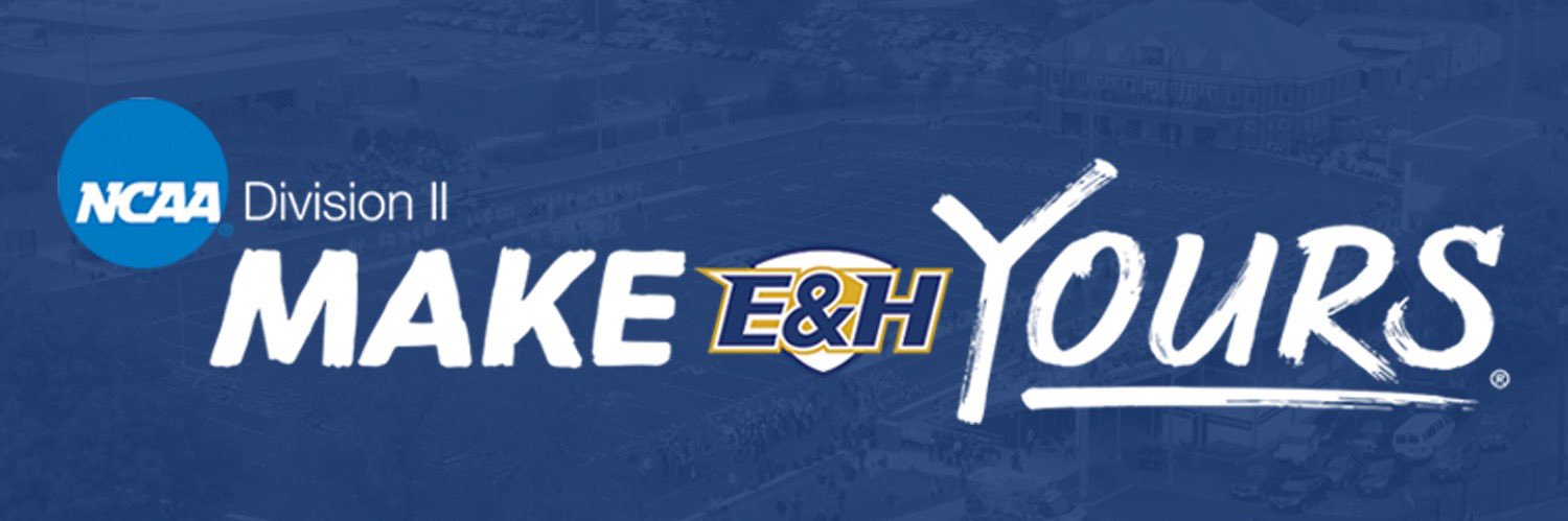 Emory & Henry Wasps's banner