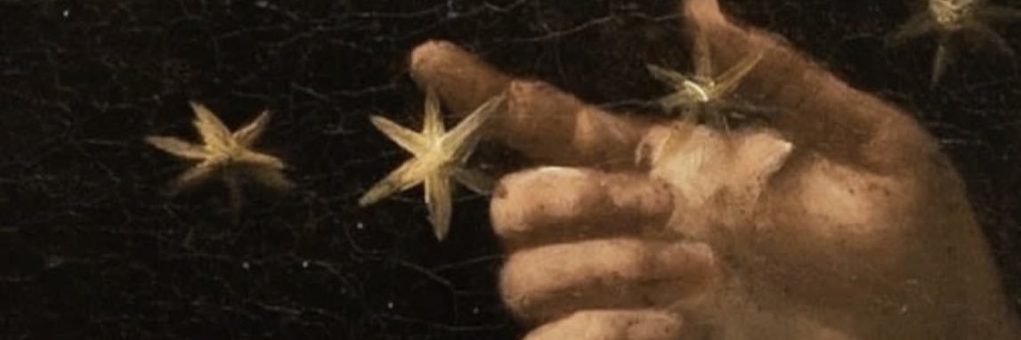 Emma Trimble's banner