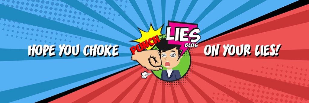 Punch The Lies🤛's banner