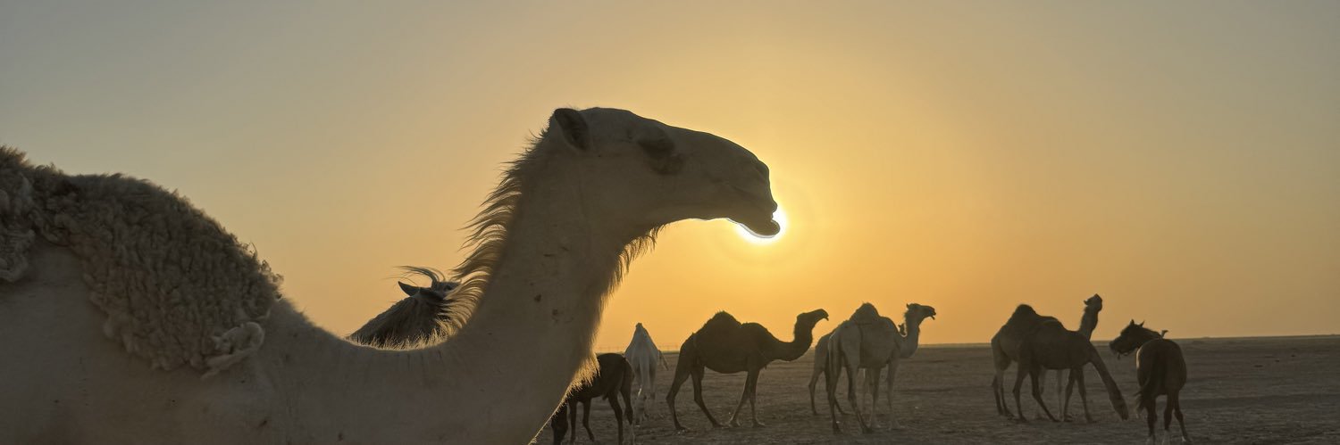 عبدالله بن حسن الشامري's banner