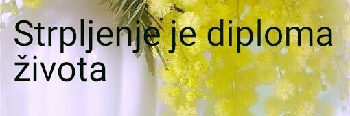 ✒Ž e lj k a✒'s banner