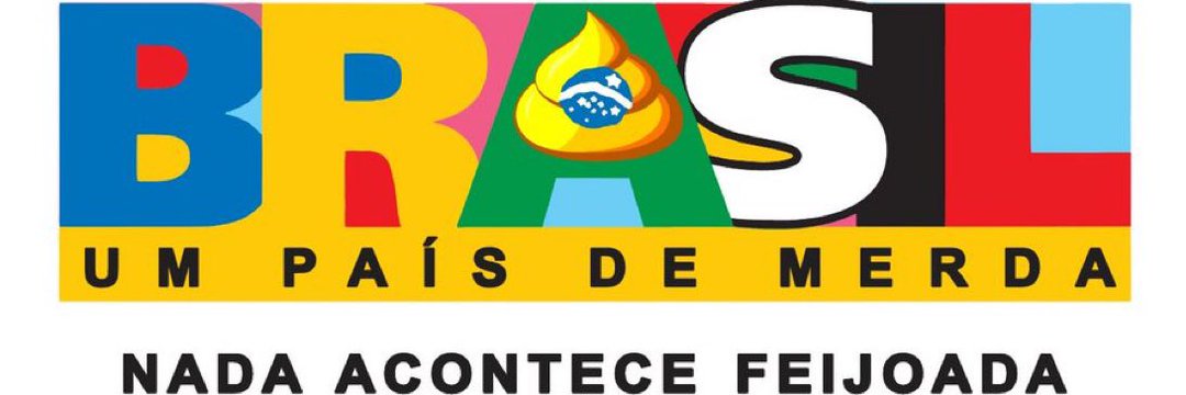 Bolsoneguinho Herói Nacional's banner