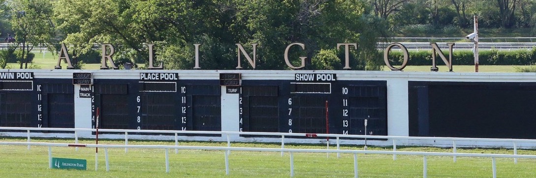 Matt Miller's banner