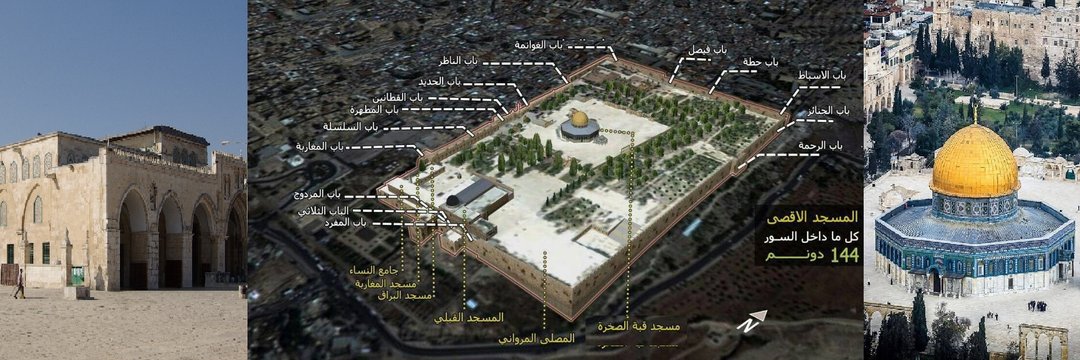 أخبار العالم الإسلامي's banner
