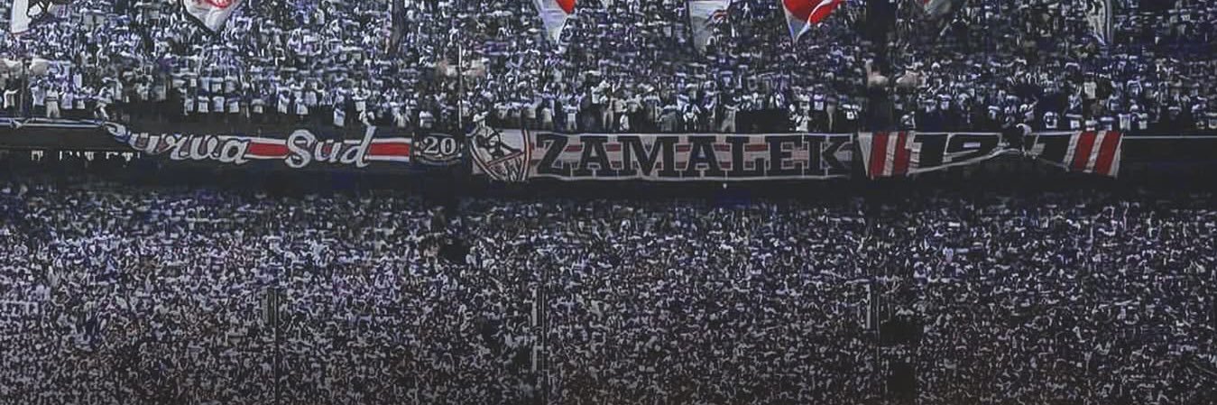 Tahany Elsherbiny's banner