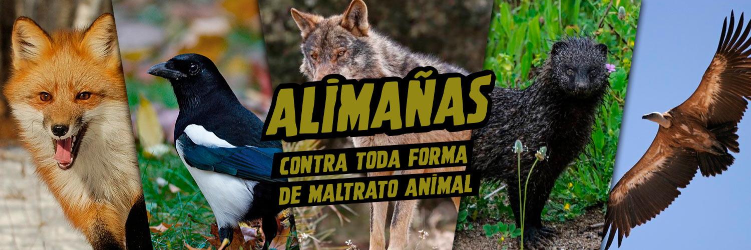 Alimañas's banner