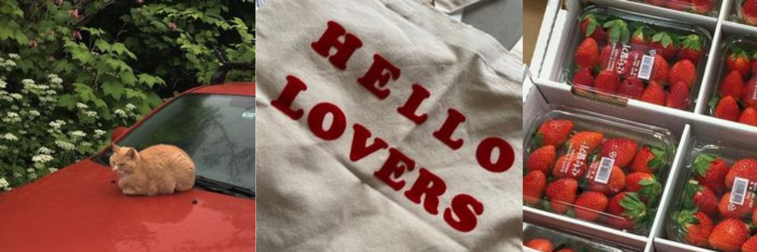 poppy 🤍's banner