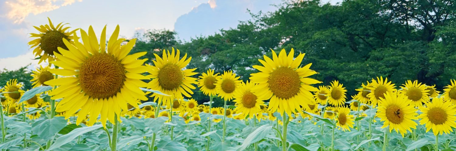小原莉子 (ｺﾊﾗﾘｺ)'s banner