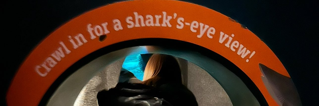 Anne_Frankly's banner