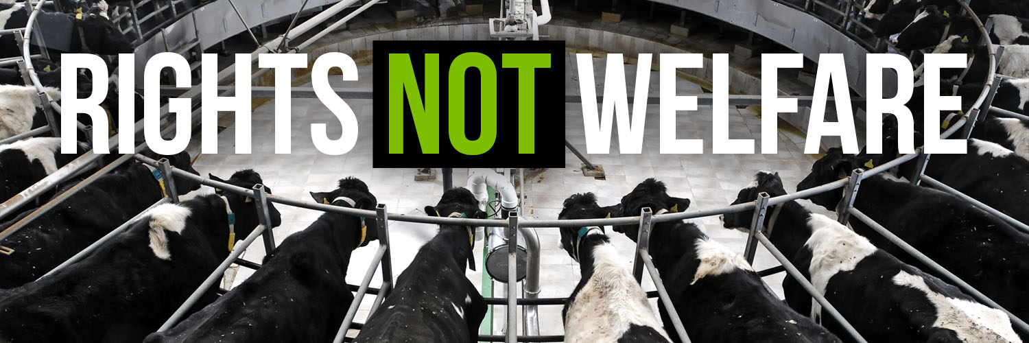 AnimalJusticeProject's banner