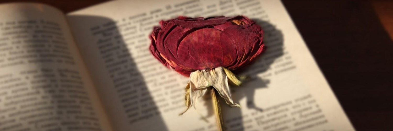 Kitap Gülüm's banner