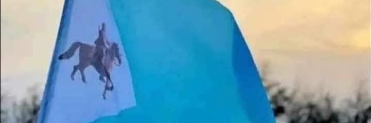 Bella's banner