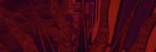 TechXDrop's banner