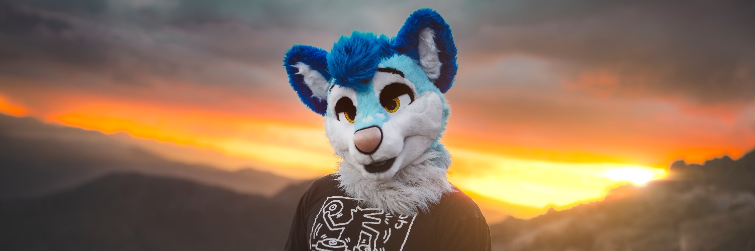 Fluke Husky 🖤's banner