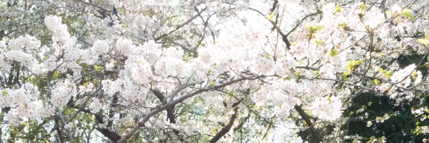 栗原 樹。's banner