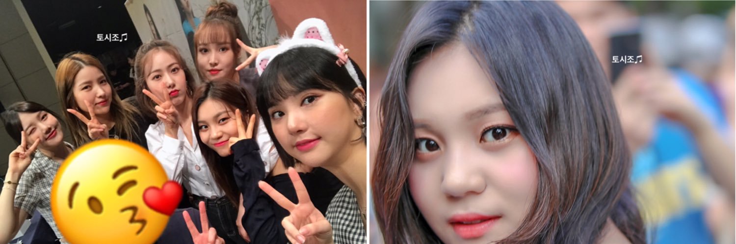 としぞう🐹토시조♫'s banner