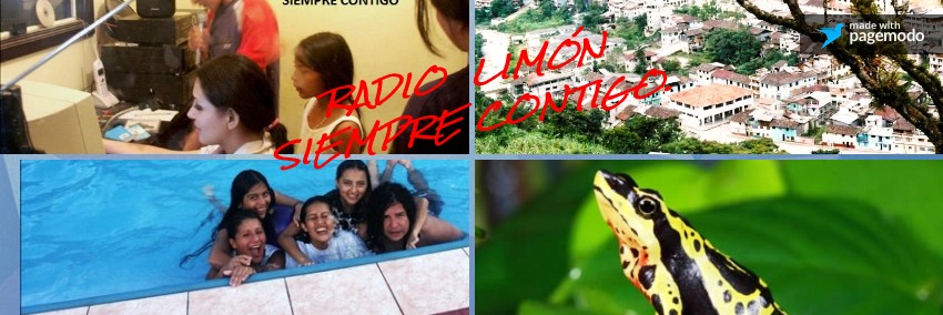 RADIO LIMÓN's banner