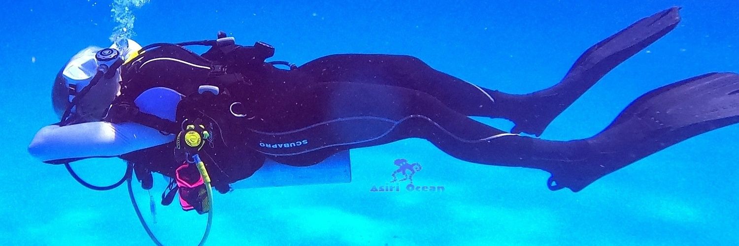 𝗔𝘀𝗶𝗿𝗶 🐙 𝗢𝗰𝗲𝗮𝗻 🌊's banner