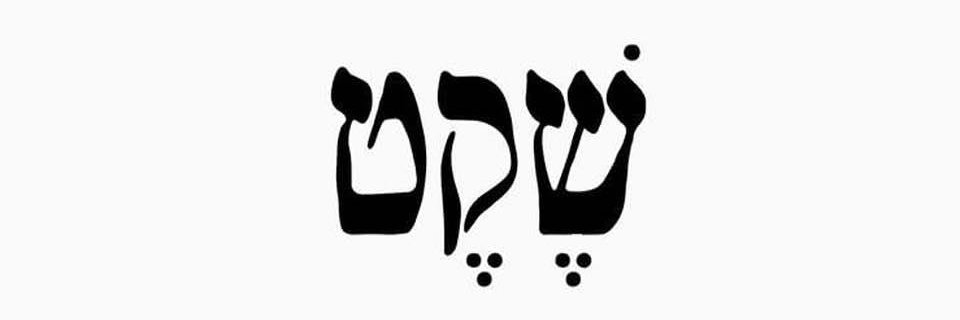Yael Levinger🎗️'s banner